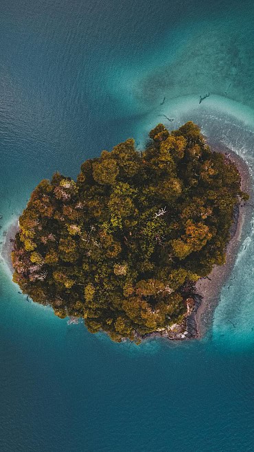 Nature Image 5
